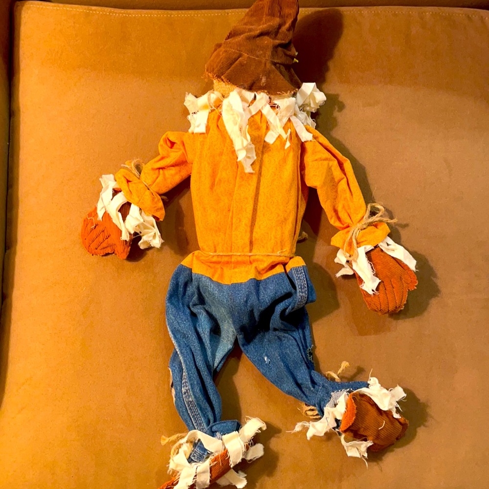 Scarecrow - Picture 3 of 3
